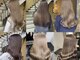 セレーネヘアー 難波店(Selene hair)の写真/【韓国風/外国人風ハイトーンカラー/派手髪】が大人気♪難波駅エリアでブリーチカラーならSelene hair☆
