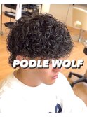 【メンズ強めプードルウルフ】無造作スパイラル絶壁解消カット