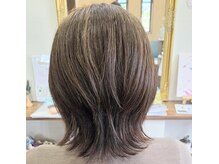 フィカス(Ficus)