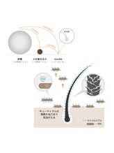 超微細気泡と吸着除去のメカニズム