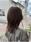 ソフトウルフ