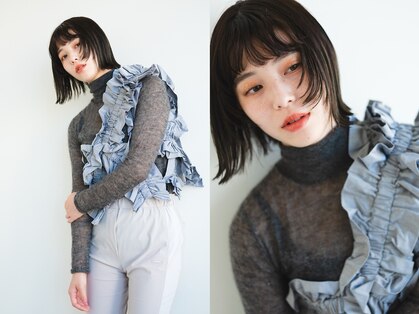 メートル(maitre)の写真