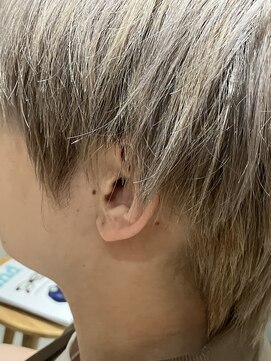 本と南風 guest design