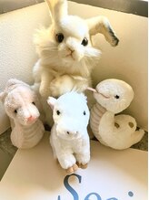 シアー(Seair)&nbsp;水卜 ふみ 