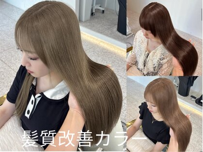 ラヴィ(Lavie)の写真
