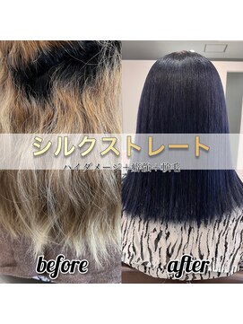 リシェイル(RICHAIR) シルクストレート&ネイビーブルー