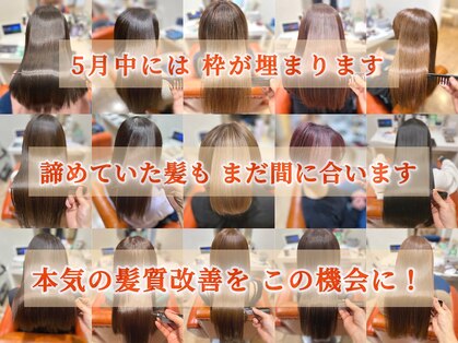 シエル 長岡市(ciel)の写真