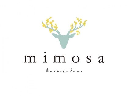 ミモザ(mimosa)の写真