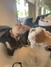 似合わせカット＋45分スキャルプヘッドスパ