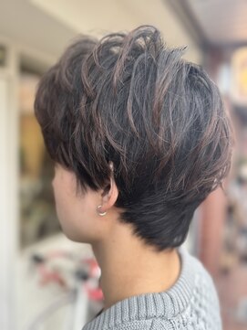 アウリンコ(aurinco) カール