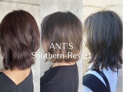 アンツ サザンリゾート 茅ヶ崎店(ANT'S Southern Resort)の写真