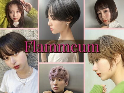 フラミューム 池袋(flammeum)の写真