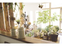 草原舎と提携し、グリーン溢れる空間　/辻堂駅/茅ヶ崎駅/ショートカット/ショートボブ/レイヤーカット/ボブ