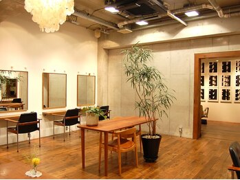 シルフィ(sylph)の写真/温かい雰囲気の店内だから初めてのご来店もご安心を！オシャレな店内で、日頃のご褒美Timeを過ごしてみて