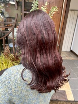 トリコアカデミックサロン(TORIKO Academic Salon) 華やかカシスレッド