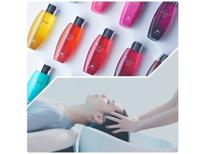 シカマ(SIKAMA)の写真