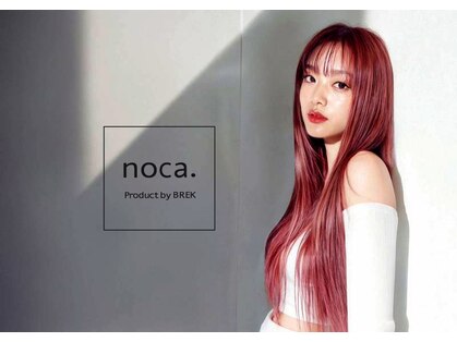 ノカプロダクトバイブレイク(noca. product by BREK)の写真