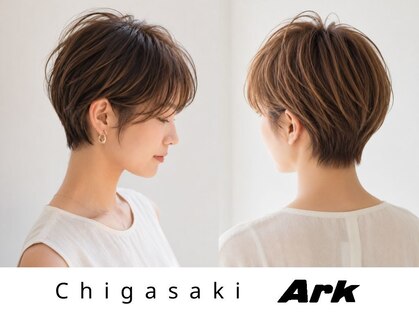 アーク(Ark)の写真