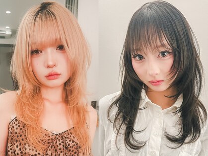 シラフ(SHIRAF)の写真