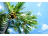 ☆人気Ｎｏ２メニュー☆選べるスパ＋カット  通常7800円→6500円　