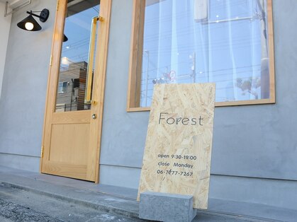 フォレスト(Forest)の写真