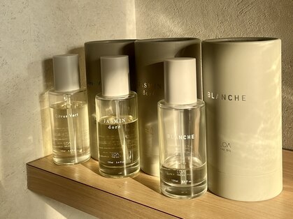 クロレ(CLORE)の写真