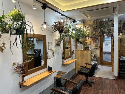 ヘアーズ シン(hairs Shin)の写真