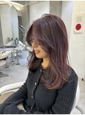 柔らかピンクラベンダー