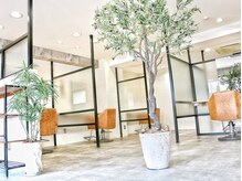 チェリッシュ(cherishh)