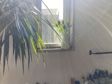 サロンド シェル フー コトリーの雰囲気（[空が見えるシャンプー室]）