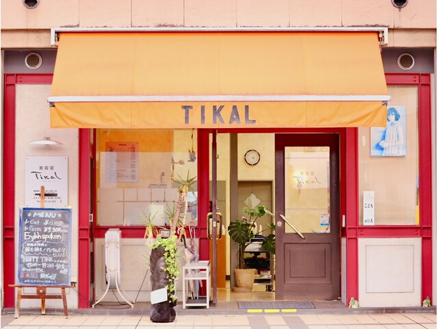 ティカル(Tikal)