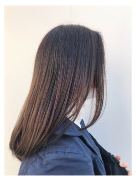 スティードトーキョー(Steed Tokyo) marron brown【Steed/立川】