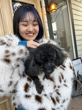 チョコレート(chocolate) フレーミングカラー