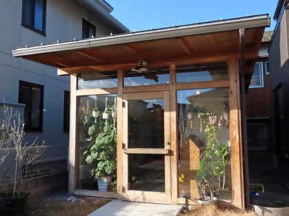 ララ(Lala)の写真