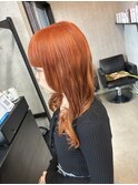 アプリコットオレンジ　くすみベージュ　暖色系カラー　韓国風