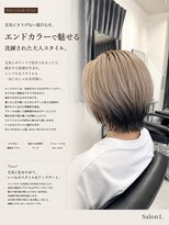 サロンワン(Salon1)&nbsp;エンドカラー