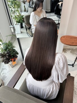 ピッポ(PIPPO) ハリウッドトリートメント/ブラウンカラー