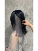 インナーカラー/シルバー/デザインカラー