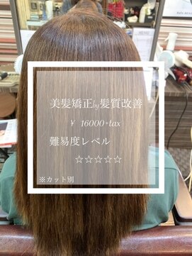 ヴィオラスバイポッシュ ギンザ(Violus by Posh GINZA) 美髪矯正by髪質改善