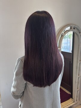 ピンクラベンダー