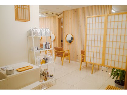 イルカ(ILKA)の写真