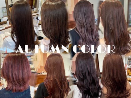 シェリッシュルーチェ(Sheriche luce)の写真