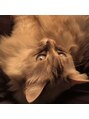 ローレンアンドパレード 並木坂店(Lauren&Parade) 実家では猫飼ってます！動物が大好き♪特に猫と蛇が好きです！