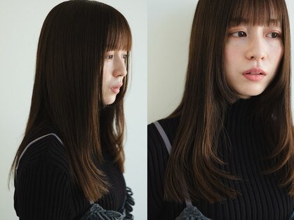 メートル(maitre)の写真