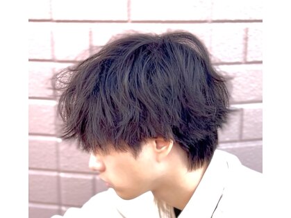ココモ(cocomo)の写真
