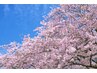 春のイチオシ☆カット＋5種類から選べる旬のカラー＋高分子ケラチンケア