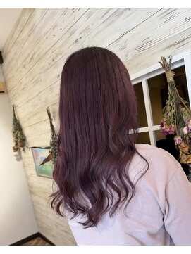 モアナ(Moana) カシスバイオレットカラー