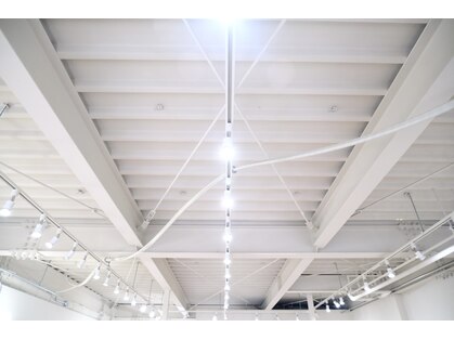 リリ(riri)の写真