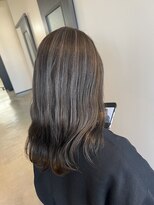 イーハトーヴ(IHATOV)&nbsp;ハイライトカラー/アースカラー