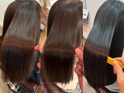 ティーク(TEAK)の写真